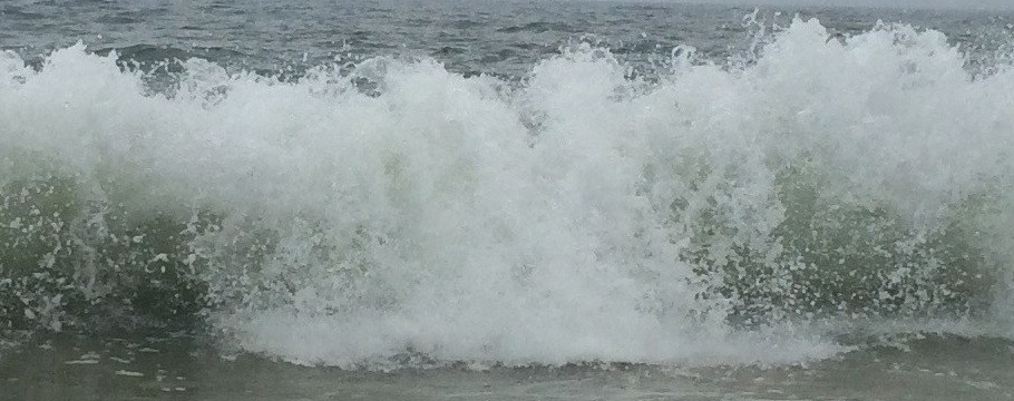 cropped-img_0355-e1493588796208